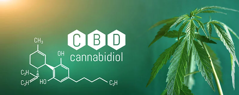 schéma de la composition du cannabidiol 
