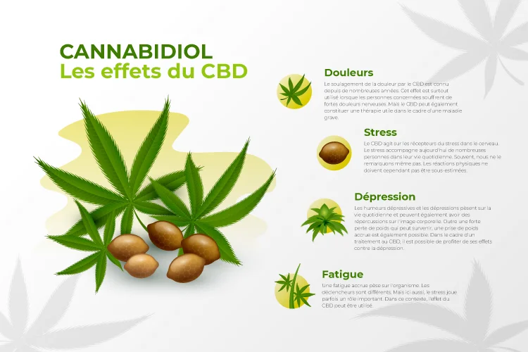Infographie sur les effets du CBD avec leurs description (douleurs, stress, dépression et fatigue)