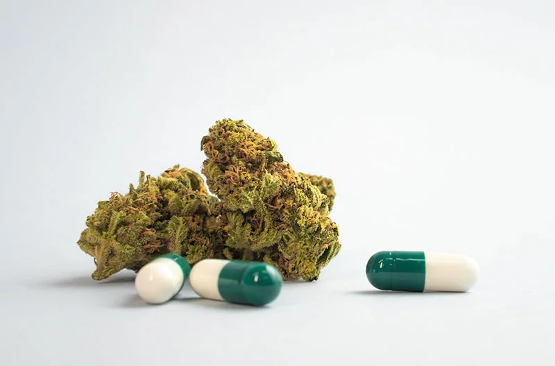 Photo de gélules de CBD à côté d'une fleur