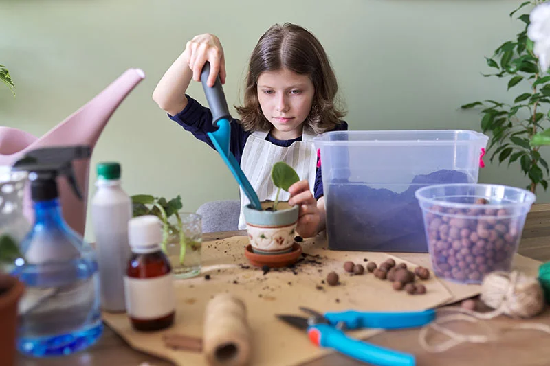 Jeune fille plante des feuilles de saintpaulia jeune plante en pot