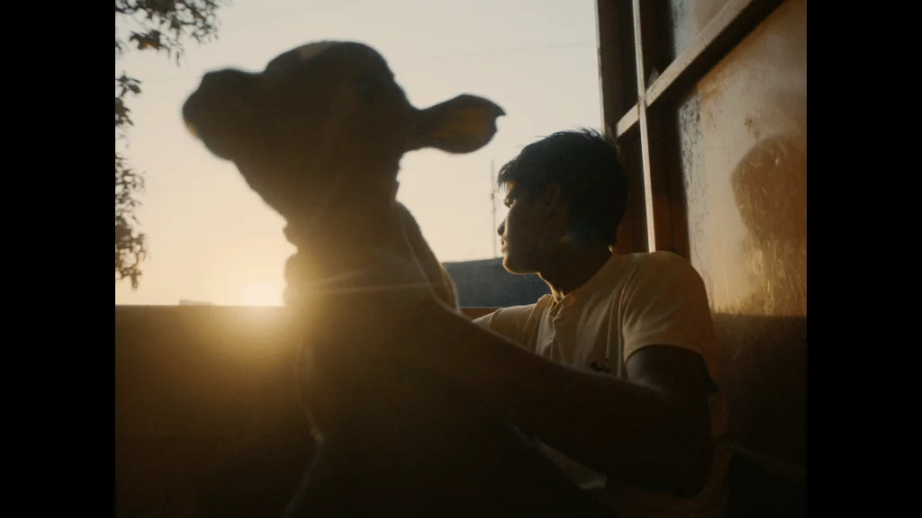 HolyCowboys-STILLS_2.png