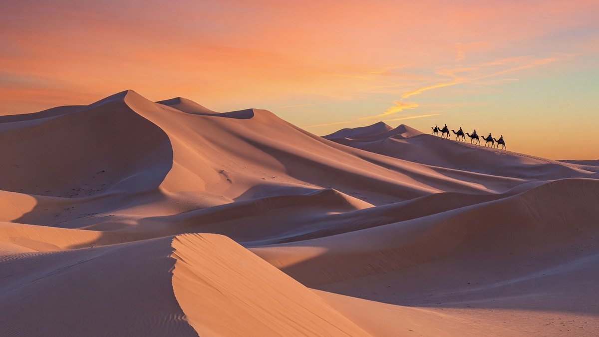 Dunes du désert tunisien au coucher du soleil, ambiance saharienne typique du sud du pays.