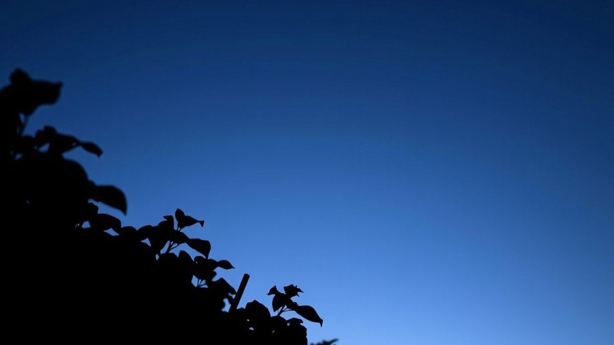 Croissant de lune dans le ciel au-dessus d'un jardin potager en fin de journée